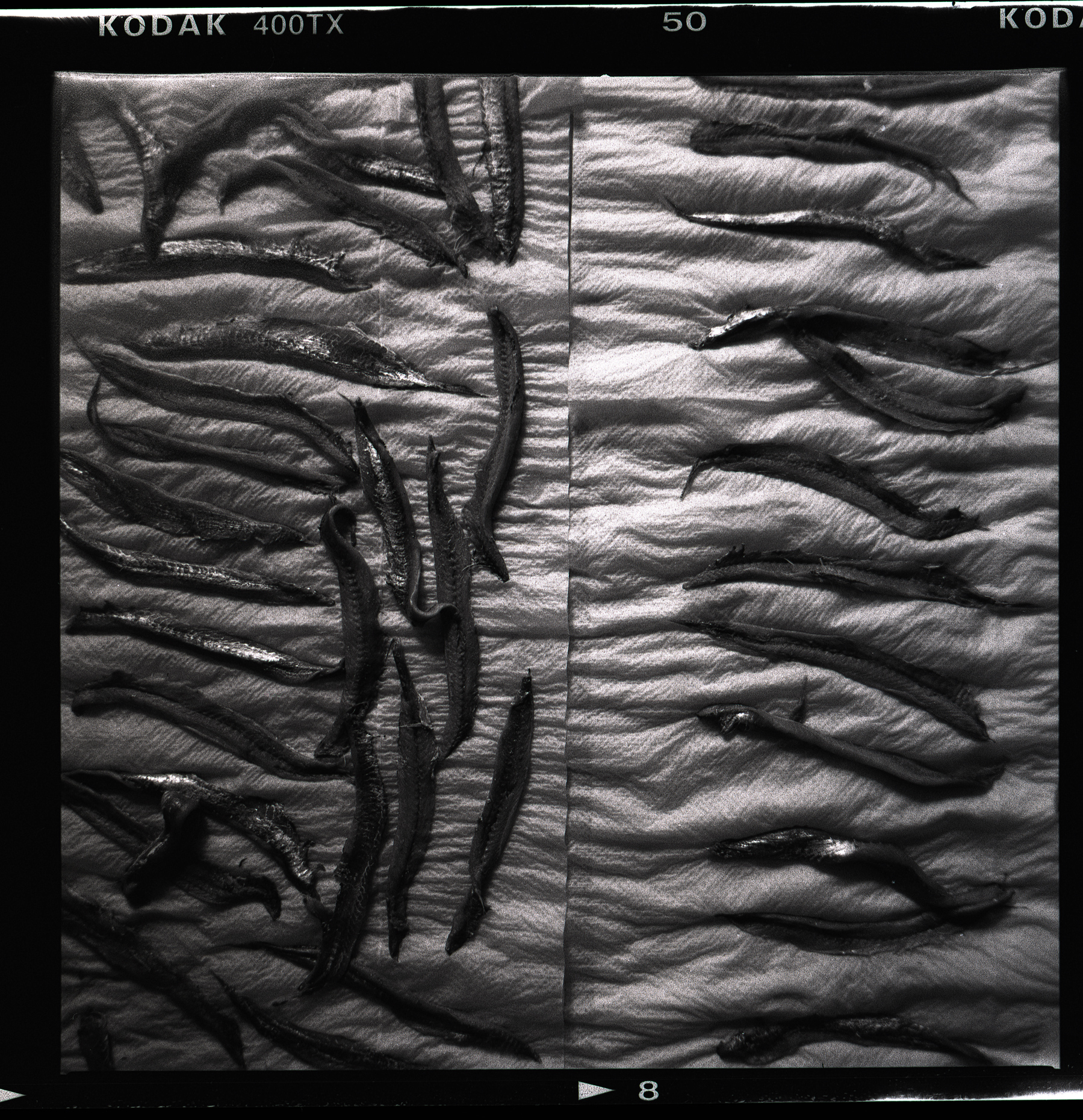DAW_neg_scan_20200827_0062